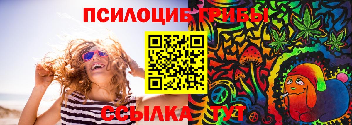 Псилоцибиновые грибы мицелий Арзамас
